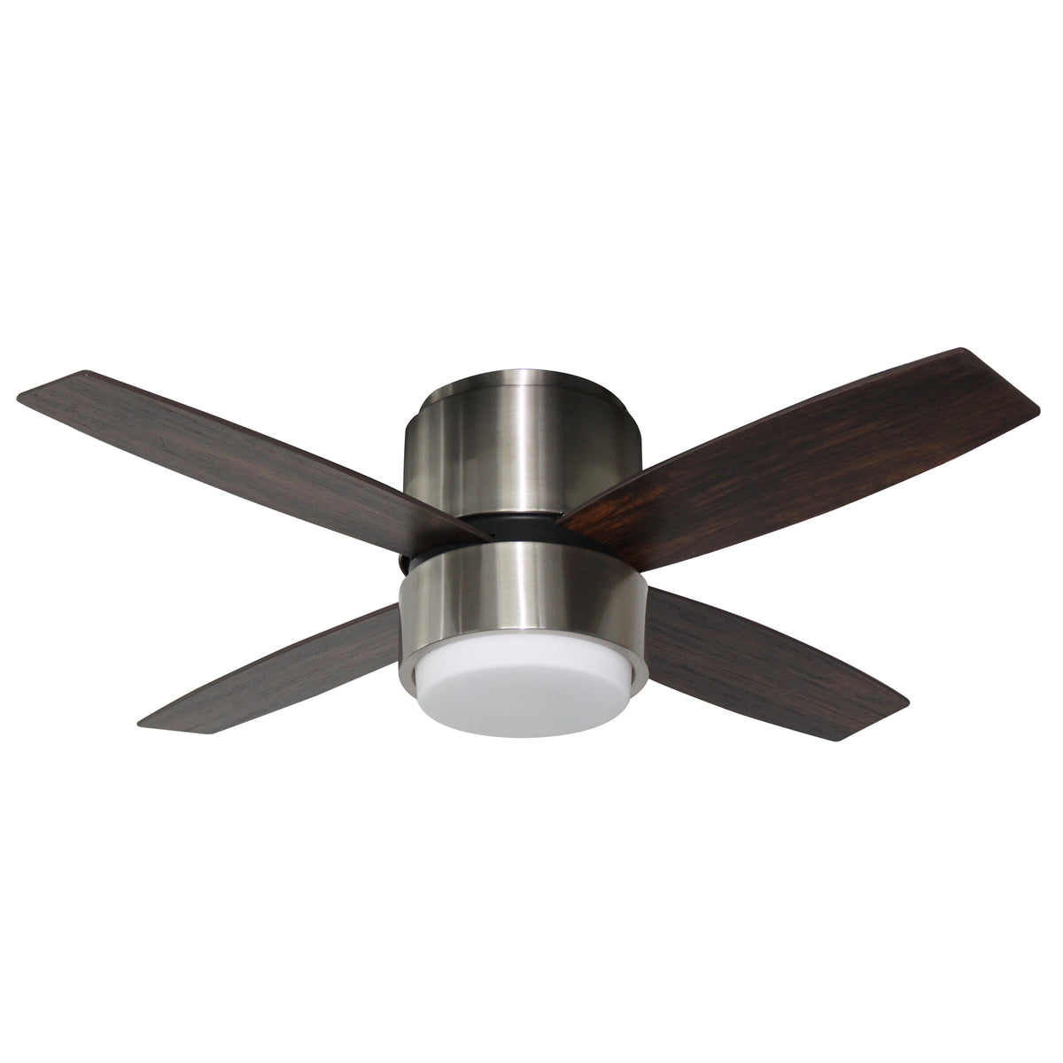 Collections – Blue Mountain Fans